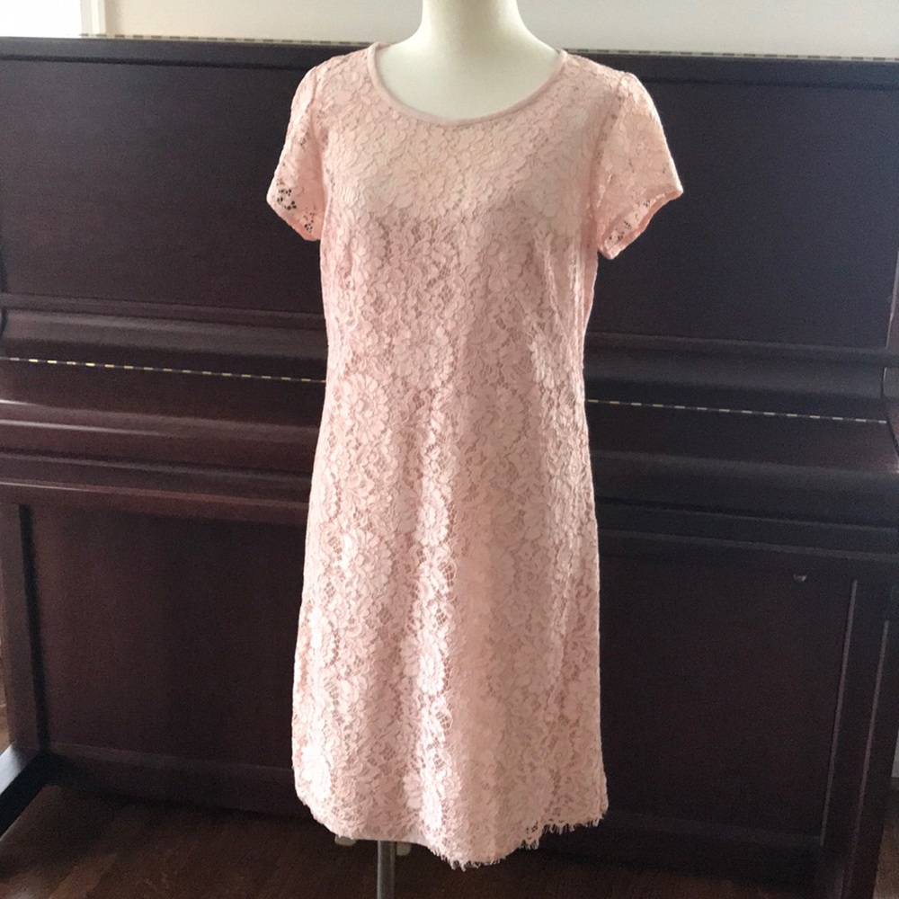 Ann Taylor Loft Lace Dress